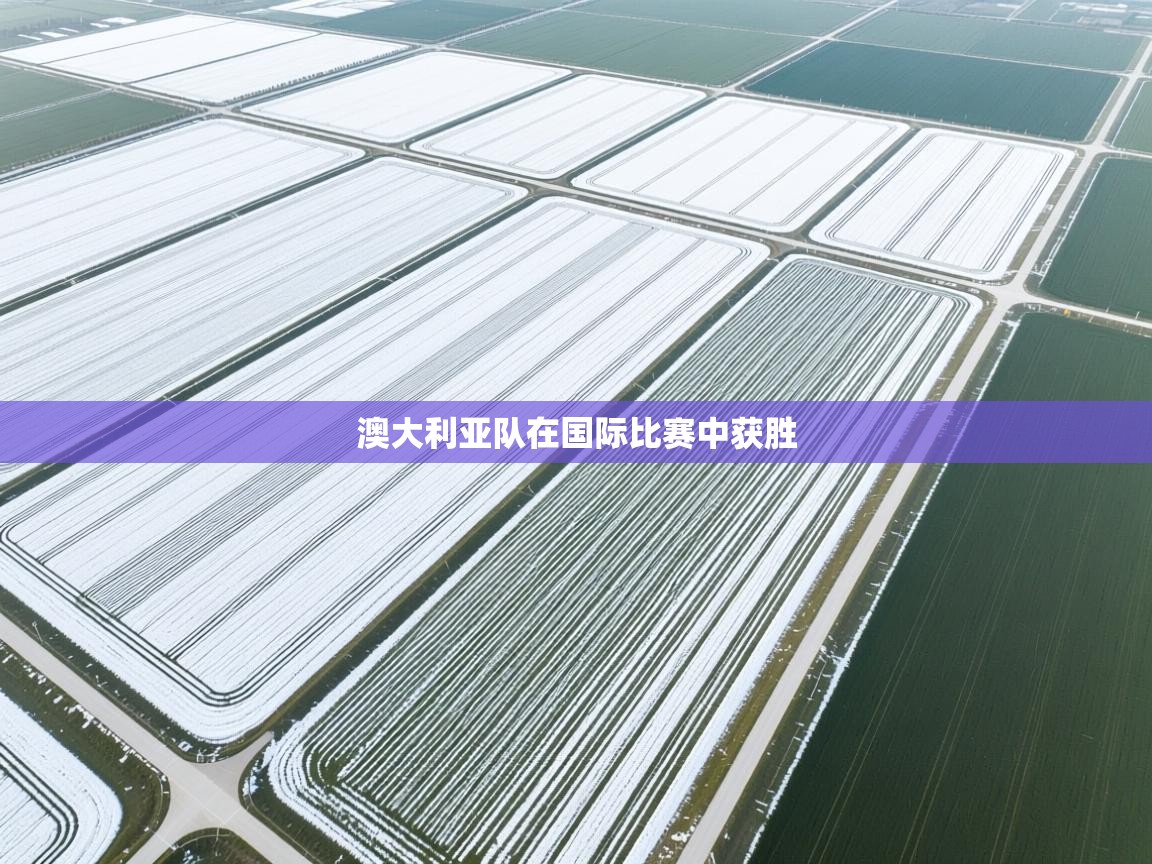 云开体育app官网登录入口-澳大利亚队在国际比赛中获胜 第2张