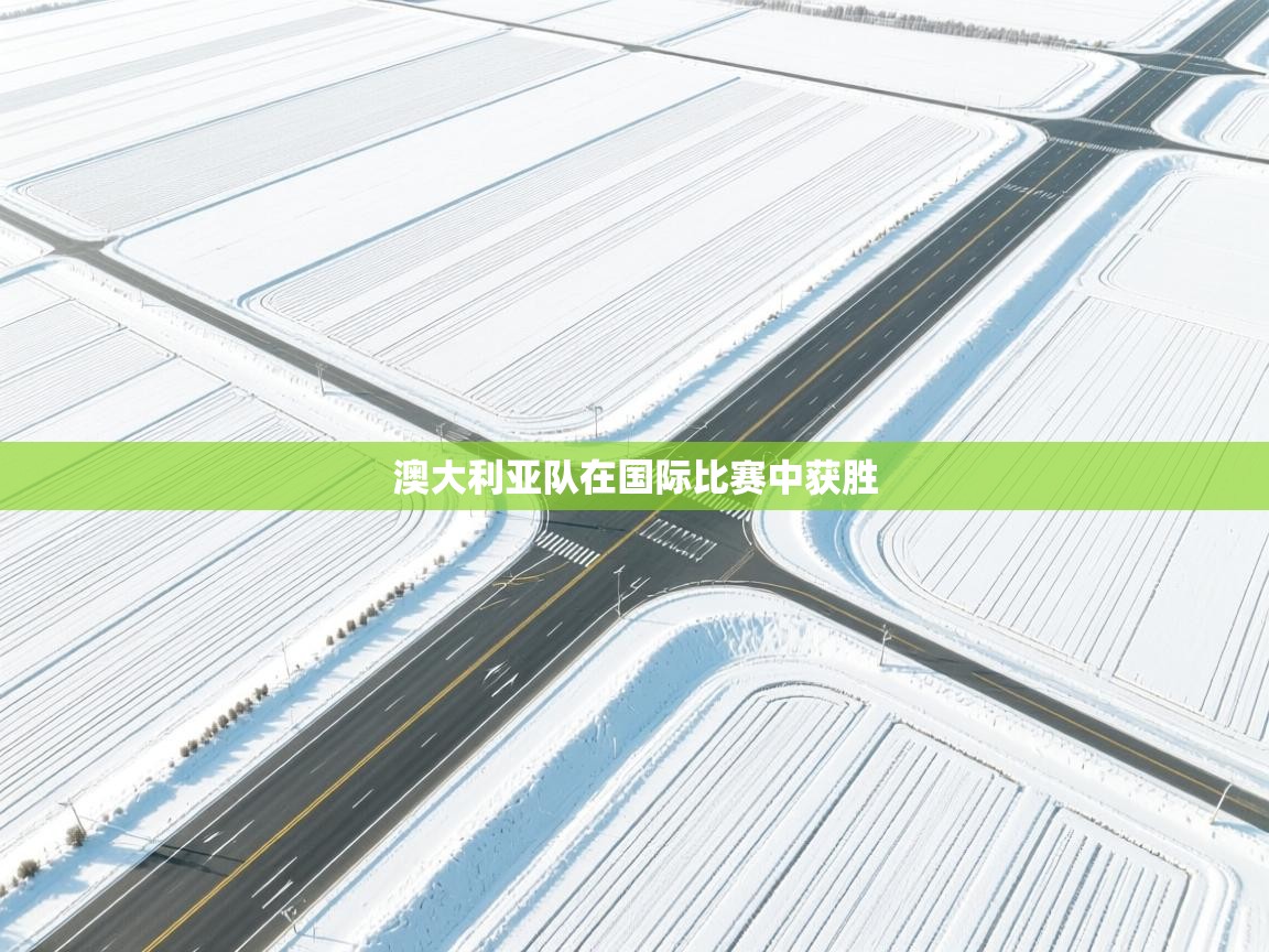 云开体育app官网登录入口-澳大利亚队在国际比赛中获胜 第3张