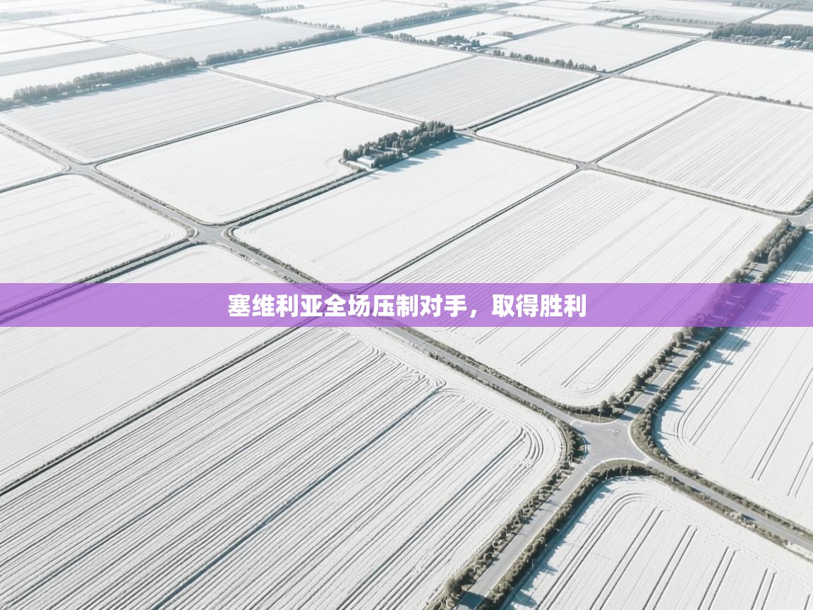 开云体育实名认证入口-塞维利亚全场压制对手,取得胜利 第2张