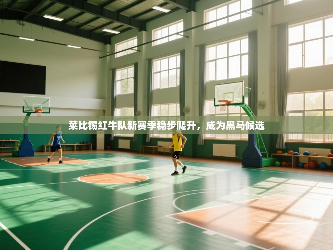 开运体育登录入口-莱比锡红牛队新赛季稳步爬升，成为黑马候选  第2张