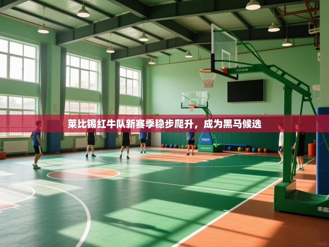 开运体育登录入口-莱比锡红牛队新赛季稳步爬升，成为黑马候选  第4张