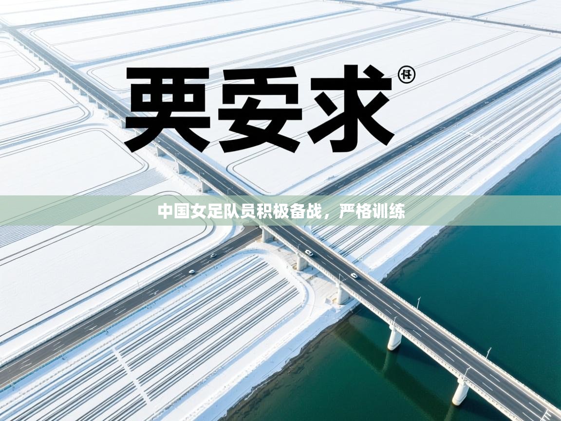 开云体育VIP权益说明-中国女足队员积极备战,严格训练 第2张