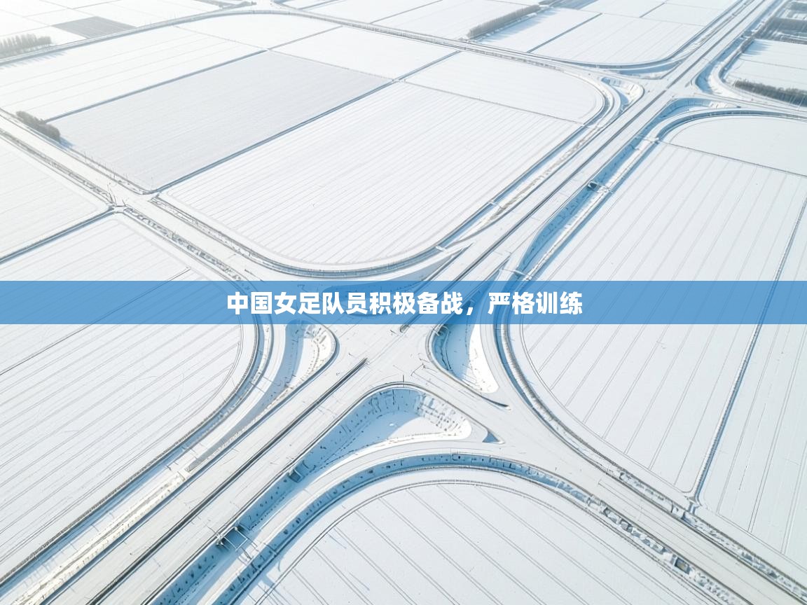 开云体育VIP权益说明-中国女足队员积极备战,严格训练 第3张