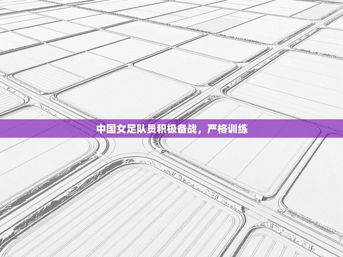 开云体育VIP权益说明-中国女足队员积极备战,严格训练 第4张